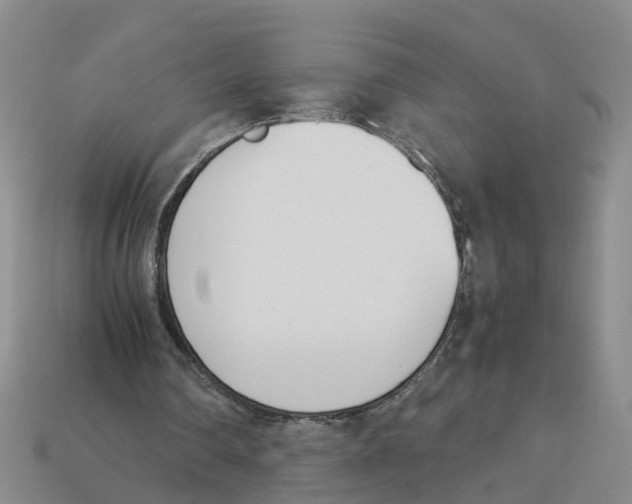 X0000113170290200910021528