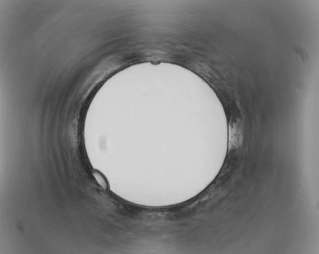 X0000113170291200910021528