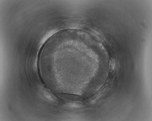 X0000113170292200910021528