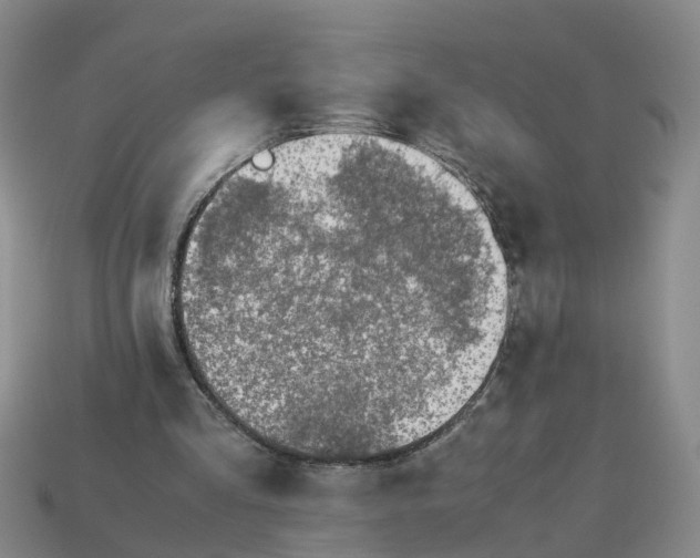 X0000113170293200910021528