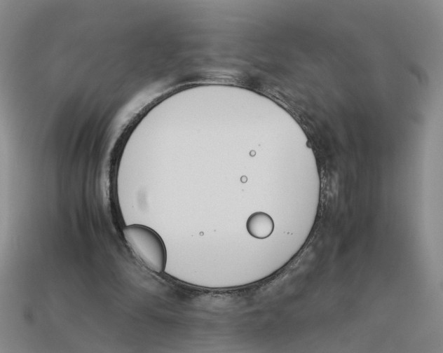 X0000113170294200910021528