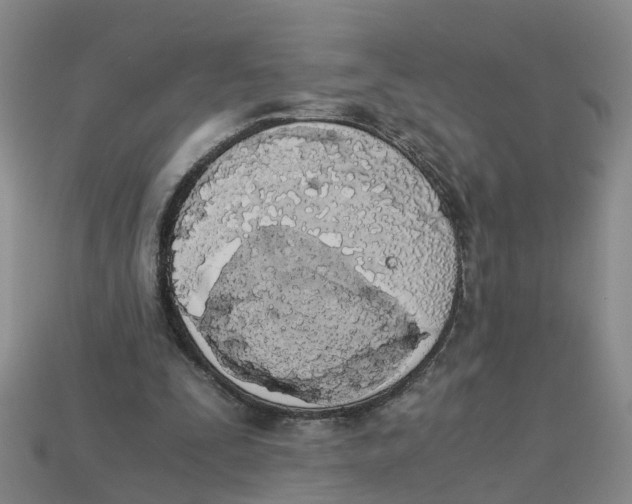 X0000113170295200910021528