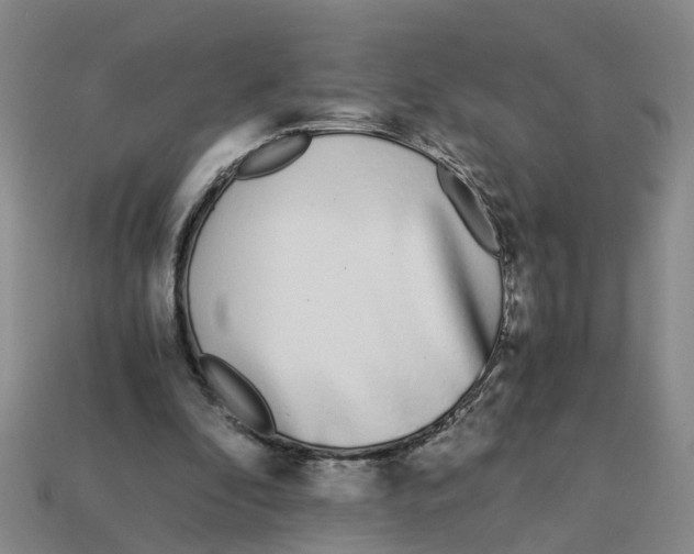 X0000113170296200910021528