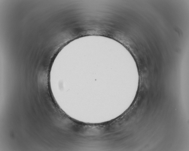 X0000113170297200910021528