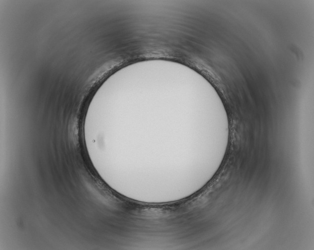 X0000113170298200910021528