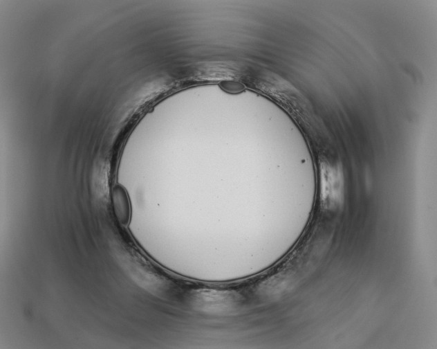 X0000113170300200910021528