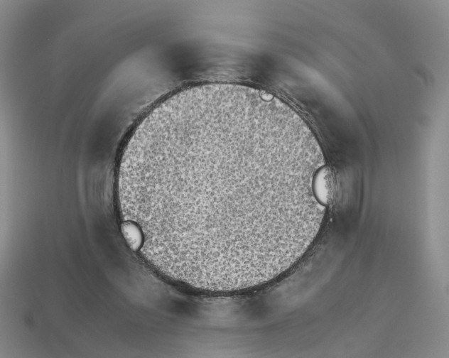 X0000113170301200910021528