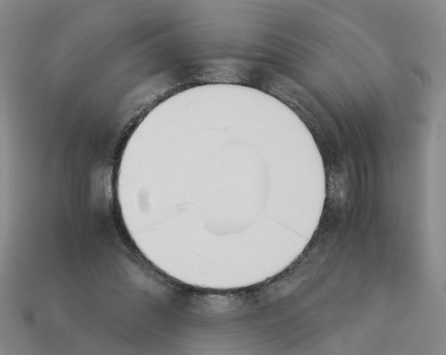 X0000113170302200910021528