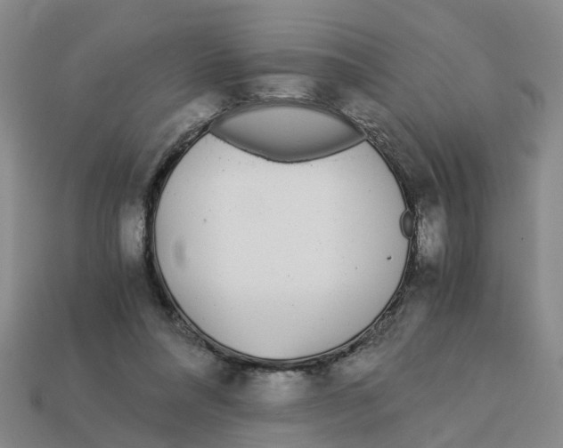 X0000113170304200910021528