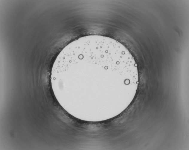 X0000113170305200910021528