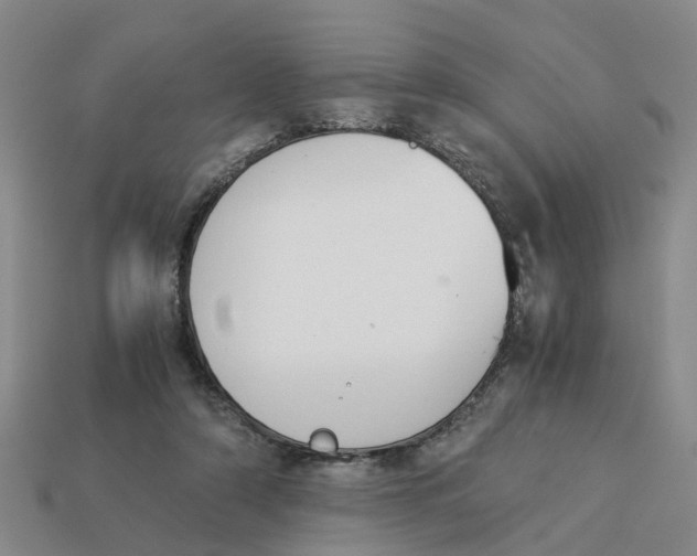 X0000113170306200910021528