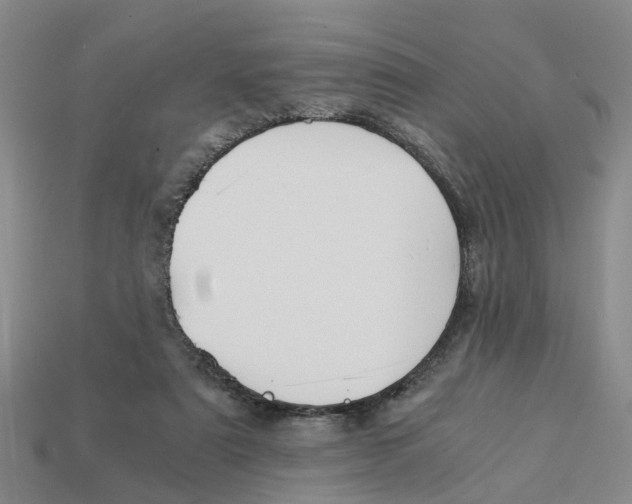 X0000113170307200910021528