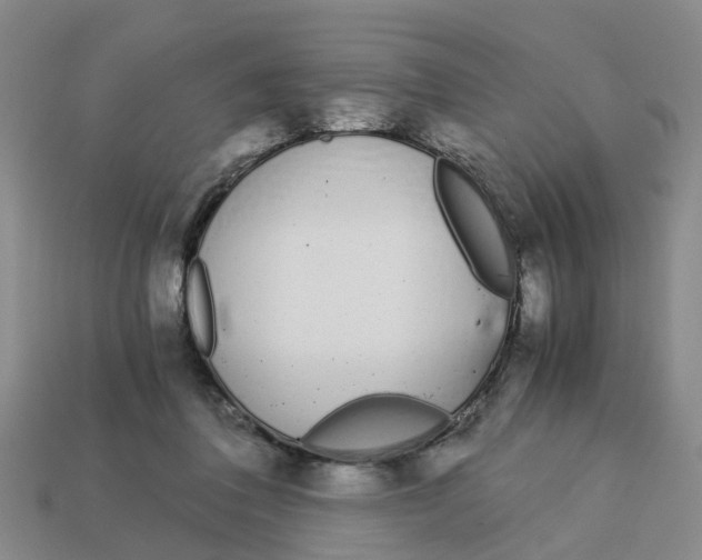 X0000113170308200910021528