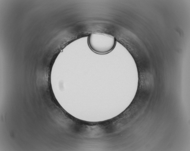 X0000113170309200910021528