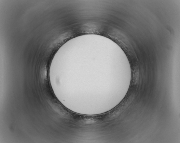 X0000113170310200910021528