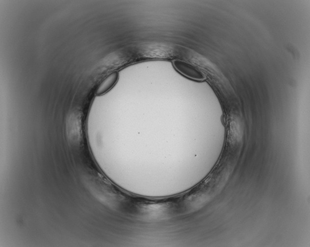 X0000113170312200910021528