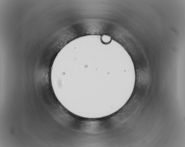 X0000113170313200910021528
