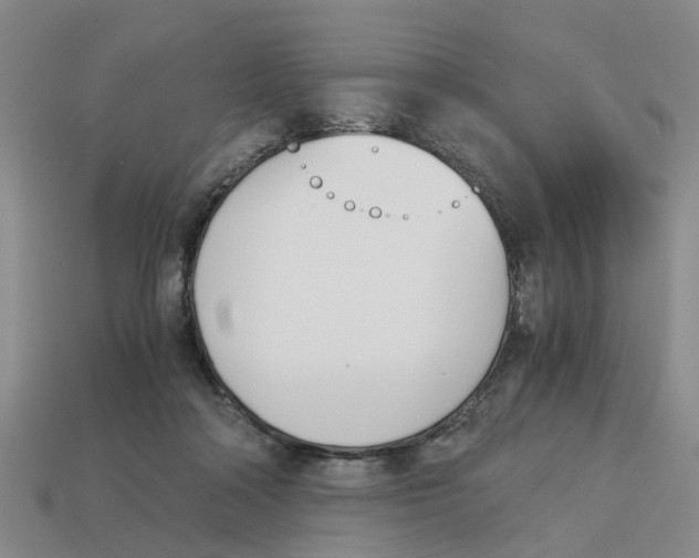 X0000113170314200910021528