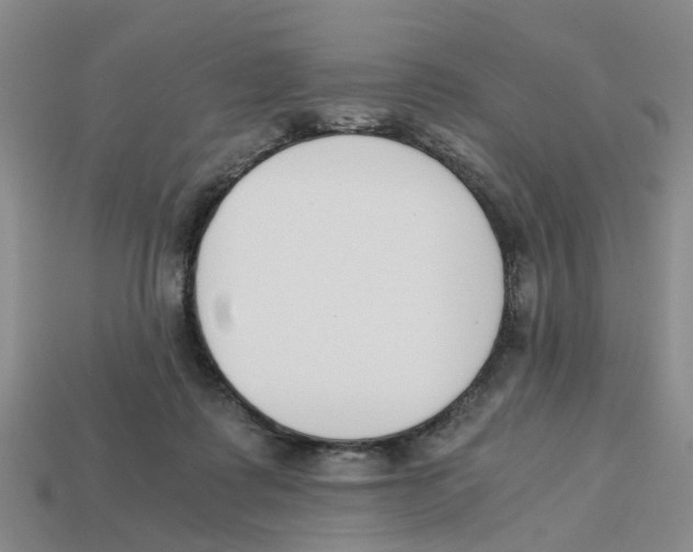 X0000113170315200910021528