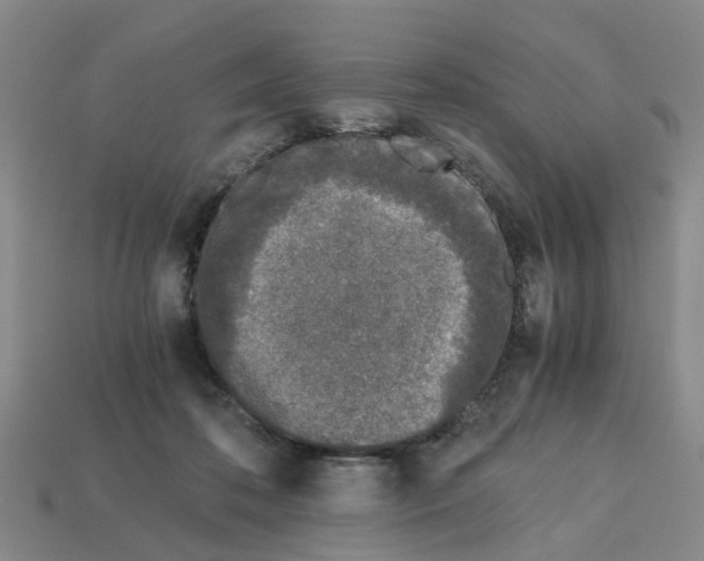 X0000113170316200910021528