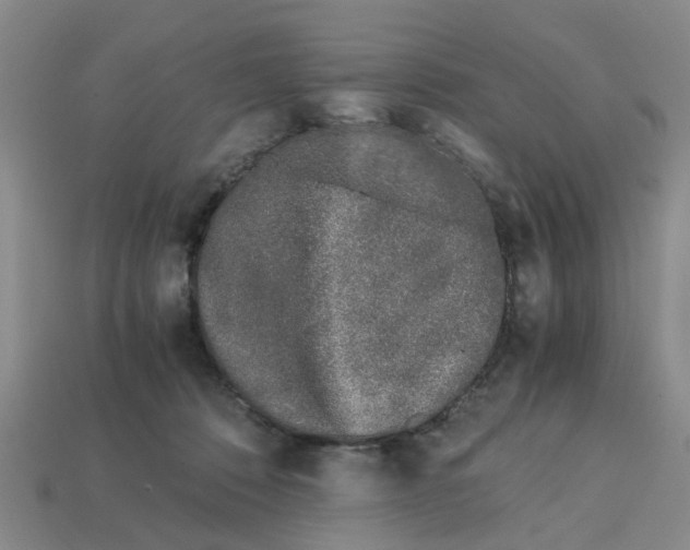 X0000113170320200910021528