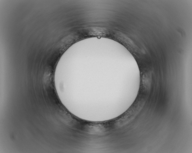 X0000113170322200910021528
