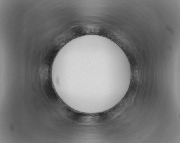 X0000113170323200910021528