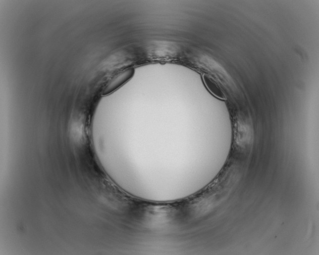 X0000113170324200910021528