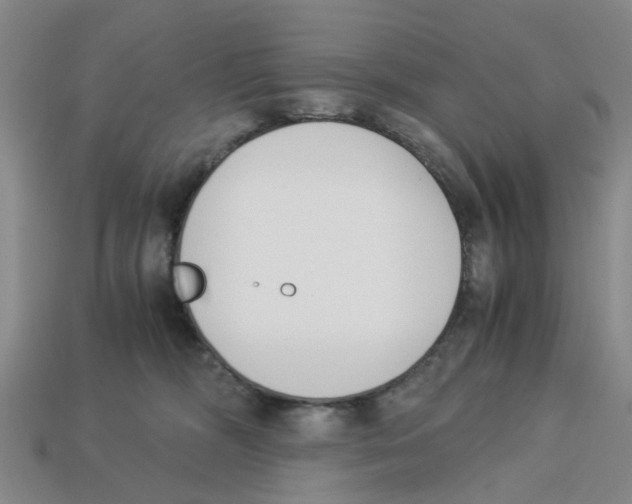 X0000113170326200910021528