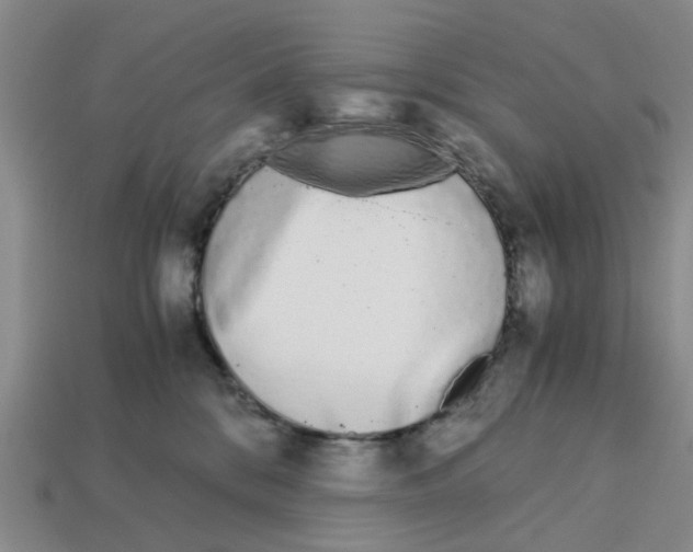 X0000113170328200910021528