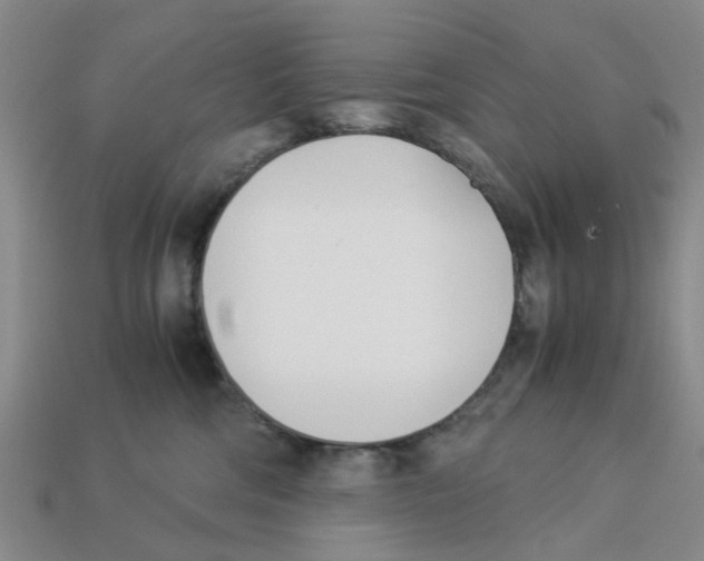 X0000113170330200910021528