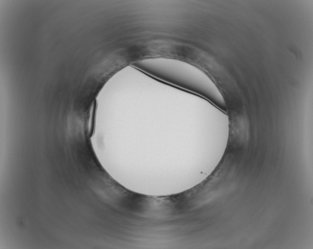 X0000113170333200910021528
