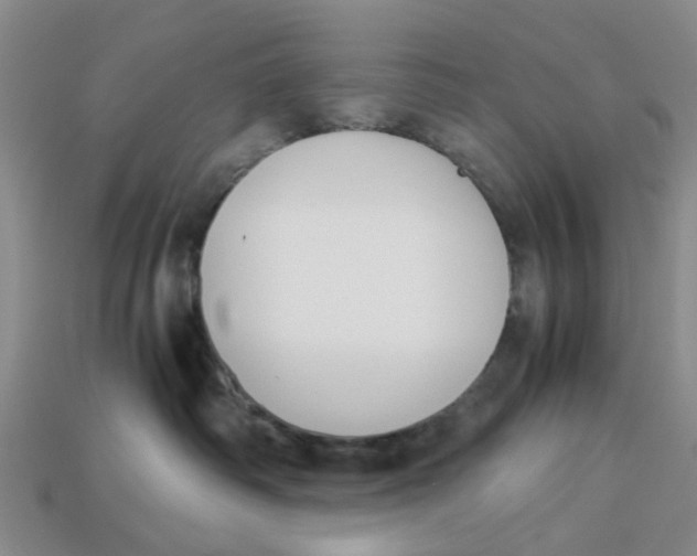 X0000113170334200910021528