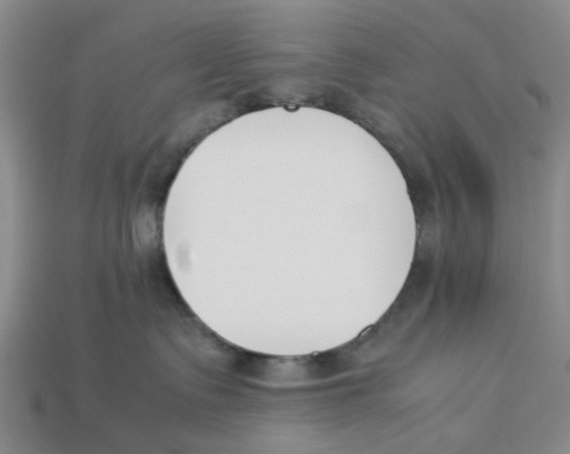 X0000113170335200910021528