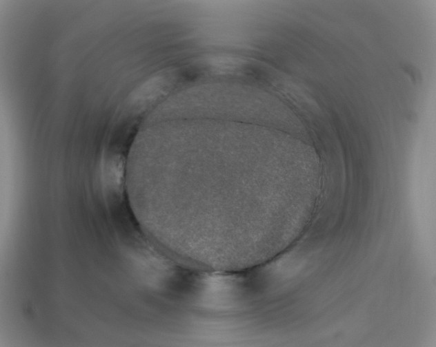 X0000113170336200910021528