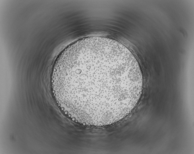 X0000113170337200910021527