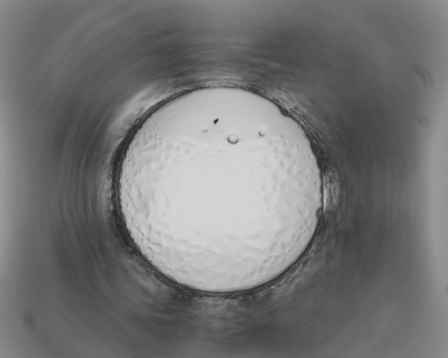 X0000113170339200910021527