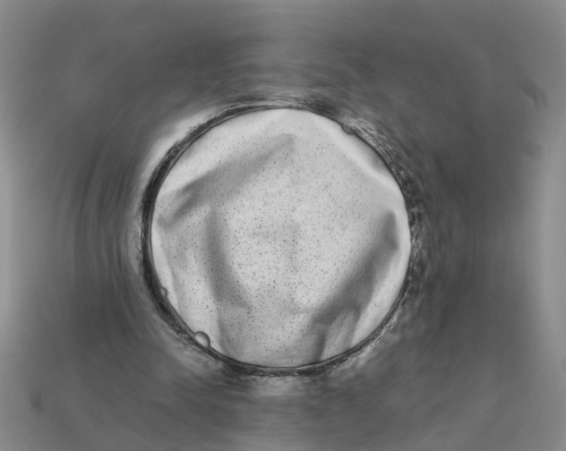 X0000113170342200910021527