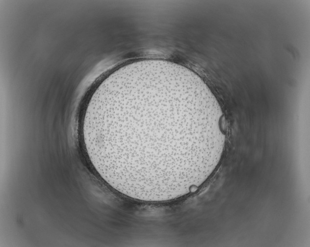 X0000113170343200910021527