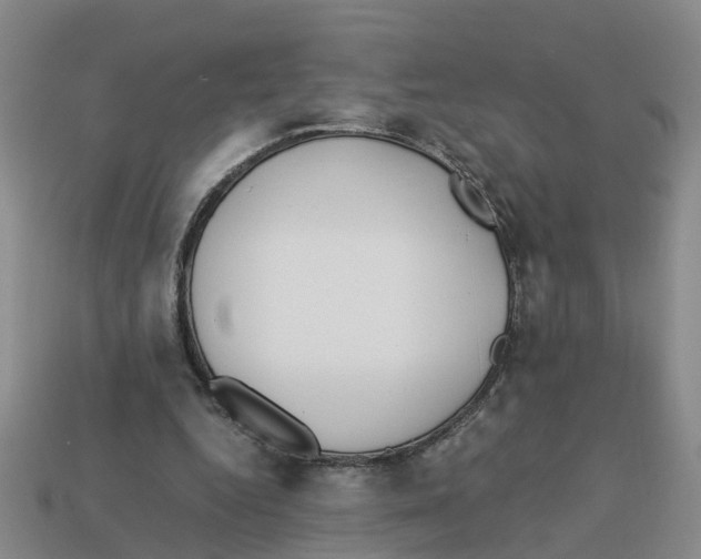 X0000113170344200910021527