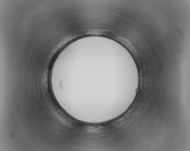 X0000113170346200910021527
