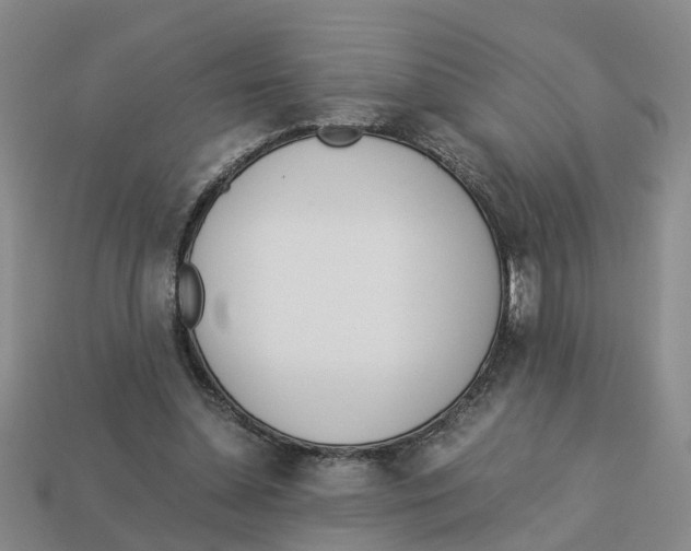 X0000113170348200910021527