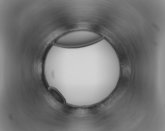 X0000113170350200910021527