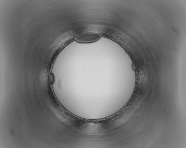 X0000113170352200910021527