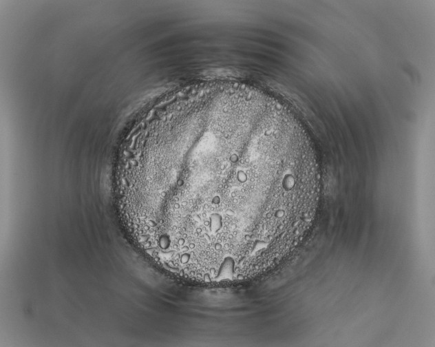 X0000113170353200910021527