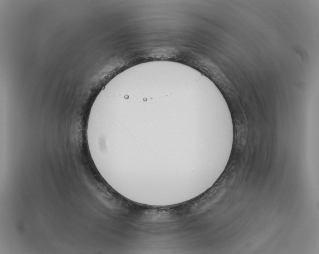 X0000113170354200910021527