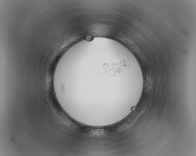 X0000113170355200910021527