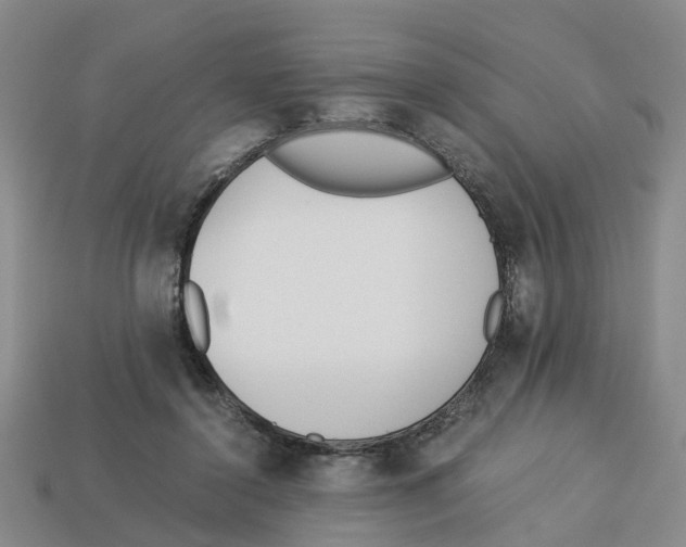 X0000113170356200910021527