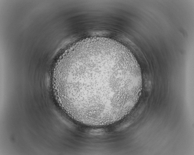 X0000113170357200910021527