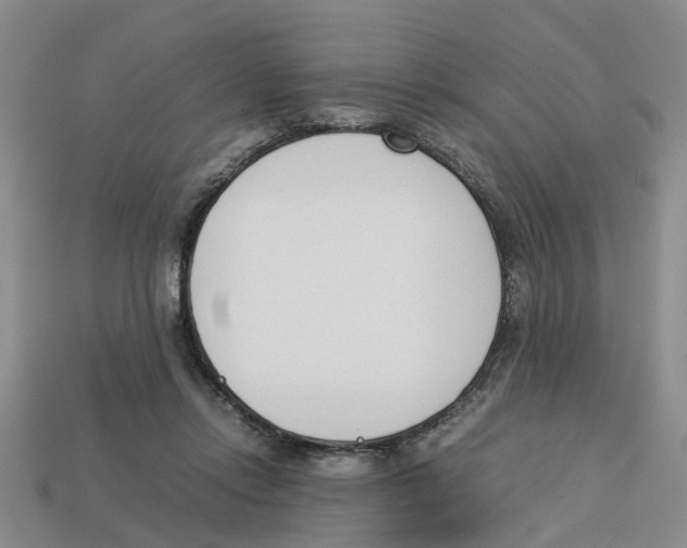 X0000113170358200910021527